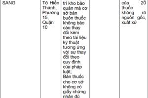 Loạt cơ sở kinh doanh dược tại TP Hồ Chí Minh bị xử phạt