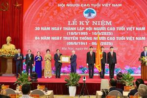 Chủ động sắp xếp, kiện toàn tổ chức Hội Người cao tuổi