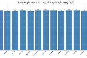 Giá heo hơi hôm nay 24/6/2025: Giảm đồng loạt tại miền Trung, miền Nam
