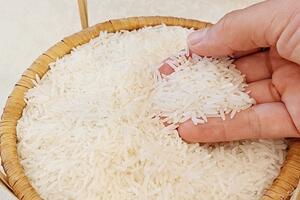 Giá lúa gạo hôm nay ngày 4/7/2025: Lúa tươi chững giá, gạo bình ổn