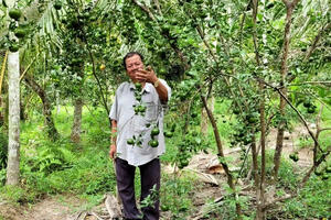 Mô hình giảm nghèo bền vững ở Bến Tre