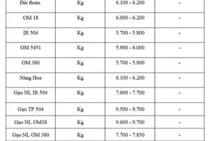 Giá lúa gạo hôm nay ngày 16/7: Lúa chững giá, gạo xuất khẩu tăng nhẹ