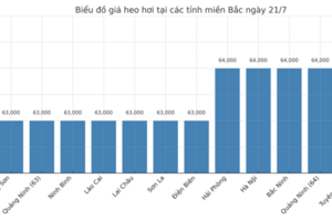 Giá heo hơi hôm nay ngày 21/7/2025: Miền Nam giảm nhẹ, miền Bắc chững giá