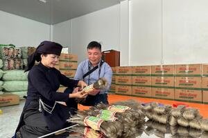 HTX OCOP tìm "chìa khóa" mở cửa thị trường quốc tế