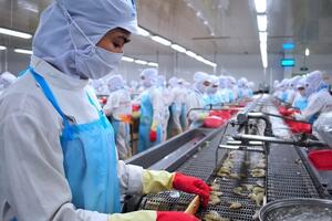 5 năm EVFTA có hiệu lực: Thương mại Việt Nam - EU tích lũy gần 300 tỷ USD