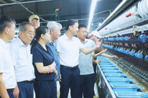 Yếu tố then chốt giúp gia tăng giá trị kinh tế nhờ trồng dâu nuôi tằm