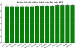 Giá heo hơi hôm nay 19/8/2025: Xuống mức 55.000 đồng/kg ở miền Trung