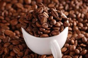 Giá cà phê tăng 1.600 đồng/kg mang lại lợi ích kép cho nông dân, doanh nghiệp