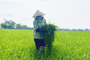 Từ mô hình nhỏ lẻ đến chuỗi giá trị bền vững, làm giàu cho nông dân Ninh Bình
