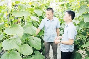 Chìa khóa làm giàu nhìn từ những miền quê ‘trắng hộ nghèo’ ở Bắc Ninh