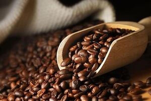 Giá cà phê duy trì mức 113.300 đồng/kg