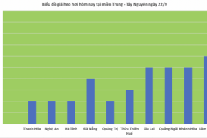 Giá heo hơi hôm nay 22/9/2025: Thị trường bình ổn trên cả 3 miền