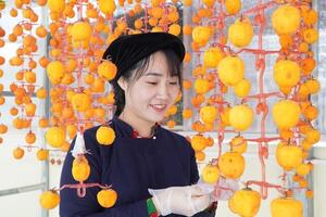 Thương mại số ‘chắp cánh’ nông sản Lạng Sơn