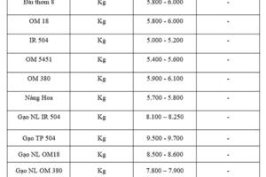 Giá lúa gạo hôm nay ngày 10/10: Gạo xuất khẩu tiếp đà giảm, lúa chững