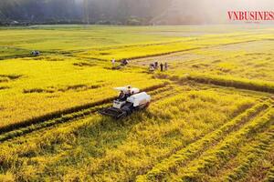 Tinh thần tự chủ, tự lực, cùng nhau làm giàu trong xây dựng nông thôn mới tỉnh Ninh Bình