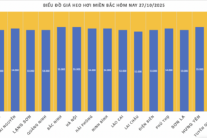 Giá heo hơi hôm nay 27/10/2025: Miền Bắc duy trì đỉnh giá