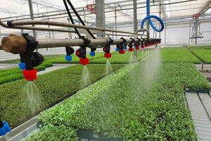 Gỡ hòn đá tảng cản bước HTX chuyển đổi số