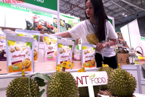 Sao để ngành hàng sầu riêng bị động ‘nước đến chân mới nhảy’?