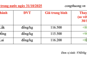Giá cà phê hôm nay 31/10/2025: Tăng nhẹ 800 đồng/kg