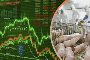 ‘Ngôi sao hy vọng’ cho cổ phiếu chăn nuôi