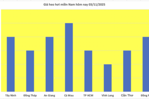 Giá heo hơi hôm nay 3/11/2025: Ổn định trên cả ba miền