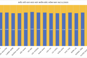 Giá heo hơi hôm nay 4/11/2025: Duy trì ổn định