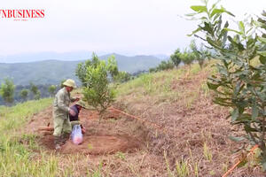 Từ nương ngô bạc màu đến bản nông thôn mới kiểu mẫu ở Điện Biên