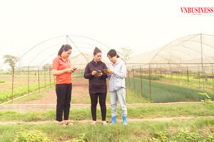 Đổi mới tư duy trong quản trị HTX: Nghĩ lớn, làm lớn, trúng lớn