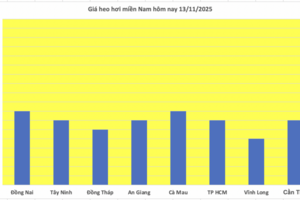 Giá heo hơi hôm nay 13/11/2025: Giảm rải rác ở miền Trung và miền Nam