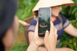 Động lực mới cho HTX vươn tầm trong kỷ nguyên số hóa