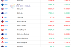 Tỷ giá USD ngày 14/11/2025: Trượt nhẹ