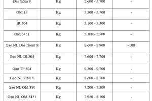 Giá lúa gạo hôm nay ngày 18/11: Gạo xuất khẩu biến động, lúa chững giá