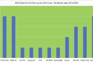 Giá heo hơi hôm nay 19/11/2025: Đồng loạt tăng