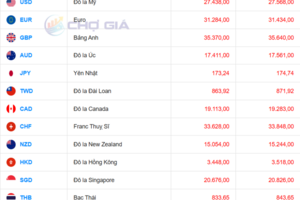 Tỷ giá USD ngày 20/11/2025: Chợ đen giảm hẹ