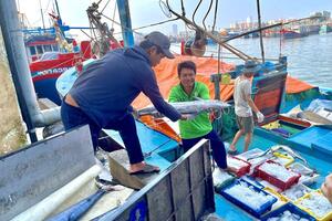 Thứ trưởng Phùng Đức Tiến: Việt Nam quyết tâm gỡ 'thẻ vàng' IUU