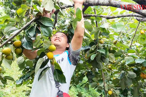 Nông thôn mới là cơ hội làm giàu bền vững ở Lạng Sơn