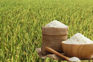 Giá lúa gạo hôm nay ngày 28/11: Thị trường lặng sóng