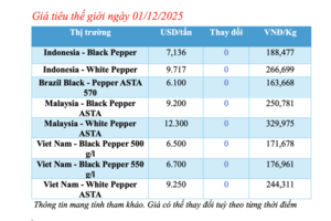 Giá tiêu hôm nay 01/12/2025: Tiếp tục đi ngang