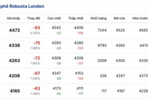 Giá cà phê hôm nay 2/12/2025: Đảo chiều giảm mạnh