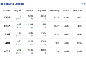 Giá cà phê hôm nay 4/12/2025: Tiếp tục giảm sâu