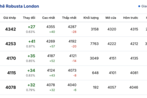Giá cà phê hôm nay 5/12/2025: Tiếp tục rớt giá sâu