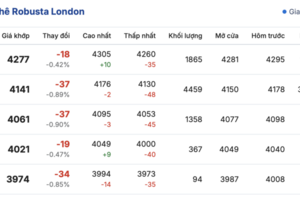 Giá cà phê hôm nay 9/12/2025: Tăng nhẹ 200 đồng/kg