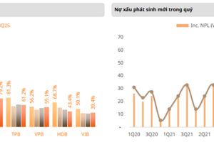Những ngân hàng nào sẽ “toả sáng” thị trường năm 2026?