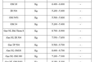 Giá lúa gạo hôm nay ngày 12/12: Gạo thơm neo giá cao, lúa giữ giá