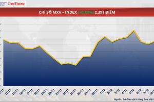 Giá ca cao tăng nhờ kỳ vọng nguồn cung bị thắt chặt dù lực cầu suy yếu