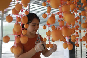 Việt Nam sắp có trung tâm đổi mới sáng tạo về nông nghiệp thông minh tại Lạng Sơn