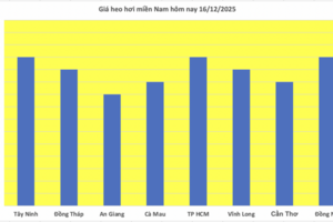 Giá heo hơi hôm nay 16/12/2025: Miền Trung tăng đến 4.000 đồng/kg