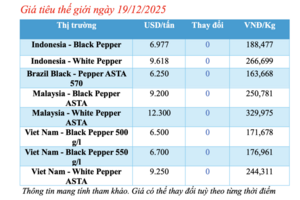 Giá tiêu hôm nay 19/12/2025: Giảm mạnh 1.500 đồng/kg