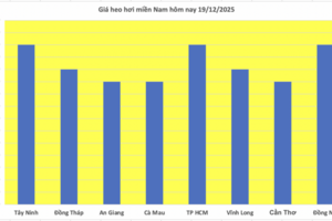Giá heo hơi hôm nay 19/12/2025: Miền Bắc lập đỉnh mới 68.000 đồng/kg