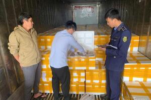 Thanh Hóa: Phát hiện 10 tấn cá khoai dùng chất cấm formol để bảo quản